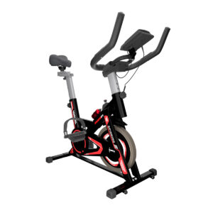 BICICLETA ERGOMÉTRICA 10K RMG8 FIT